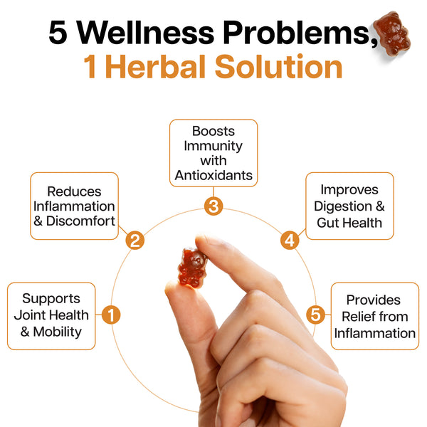 Ginger & Turmeric + Probiotic Gummies