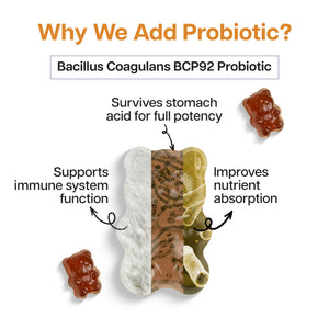 Ginger & Turmeric + Probiotic Gummies
